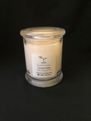 Coconut mango/soy/way/large candle