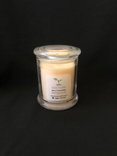 Juicy clementine/soy/wax/large/candle