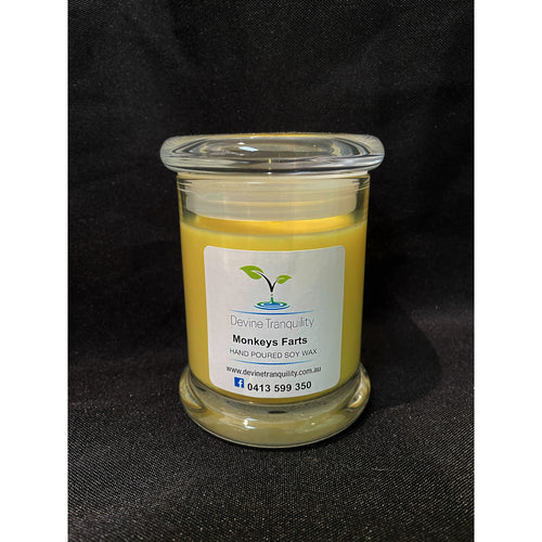 monkey fart medium soy candle